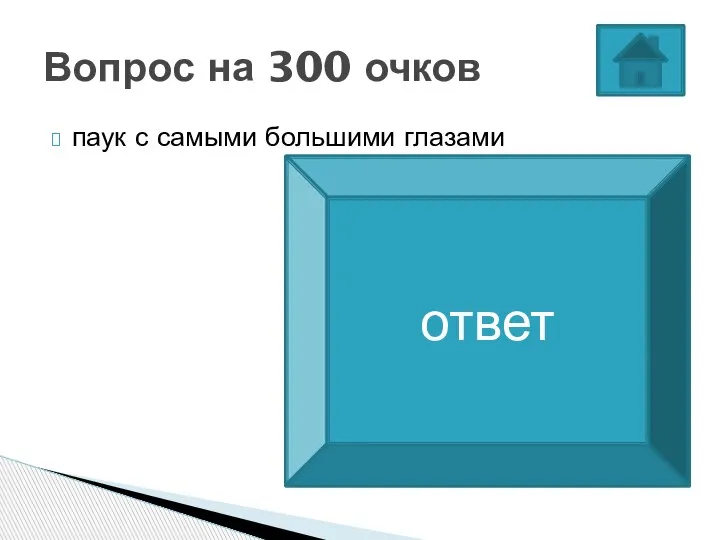 паук с самыми большими глазами Вопрос на 300 очков Паук-скакун ответ