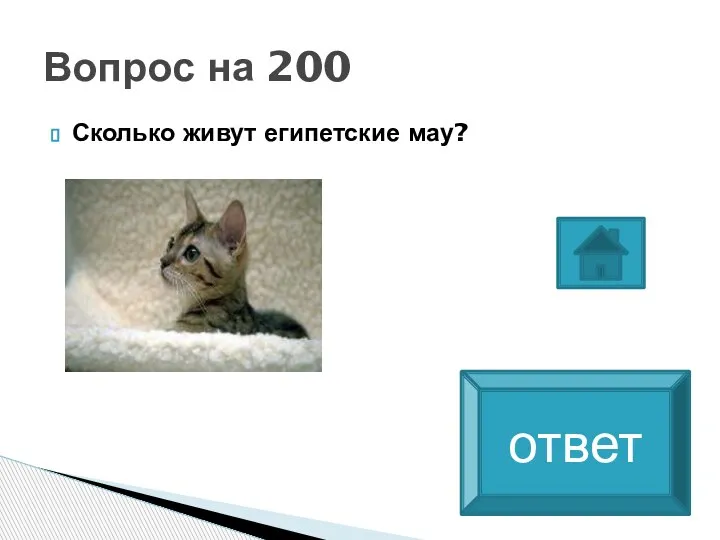 Сколько живут египетские мау? Вопрос на 200 Средняя продолжительность жизни египетских мау – 13-15 лет. ответ