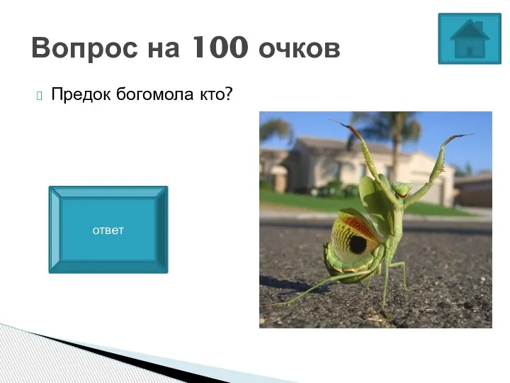 Предок богомола кто? Вопрос на 100 очков Предок богомола являеться таракан. ответ