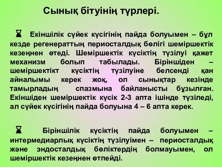 Сынық бітуінің түрлері. ⌛ Екіншілік сүйек күсігінің пайда болуымен – бұл кезде