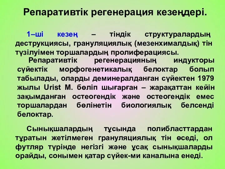 Репаративтік регенерация кезеңдері. 1–ші кезең – тіндік структуралардың деструкциясы, грануляциялық (мезенхималдық) тін