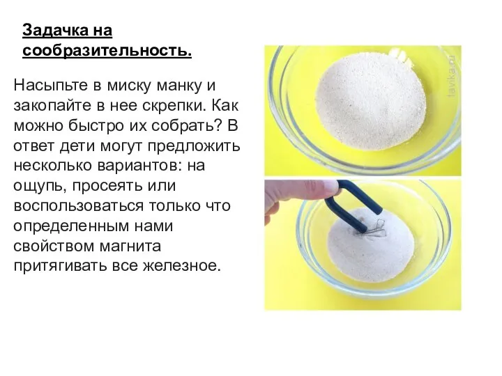 Задачка на сообразительность. Насыпьте в миску манку и закопайте в нее скрепки.