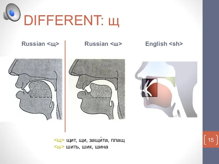 DIFFERENT: щ Russian English Russian щит, щи, защи́та, плащ шить, шик, шина