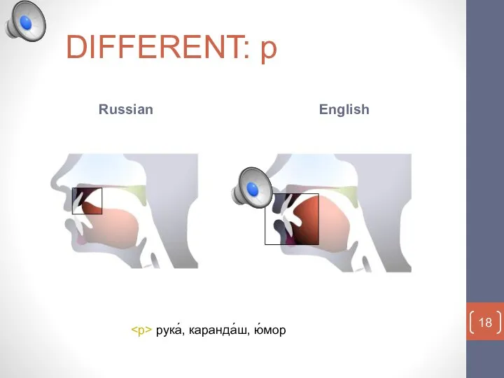 DIFFERENT: р Russian English рука́, каранда́ш, ю́мор