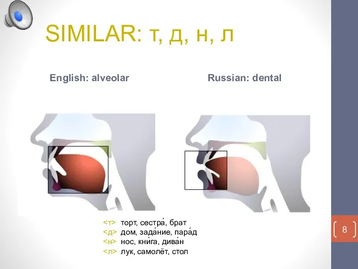 SIMILAR: т, д, н, л English: alveolar Russian: dental торт, сестра́, брат