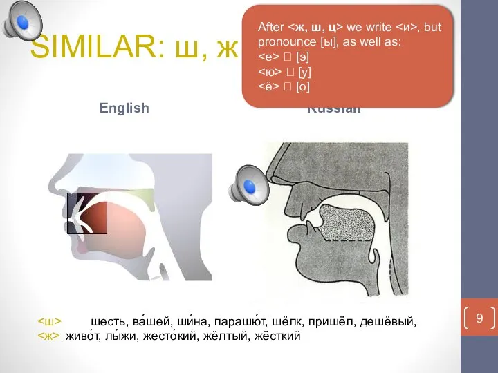 SIMILAR: ш, ж English Russian шесть, ва́шей, ши́на, парашю́т, шёлк, пришёл, дешёвый,