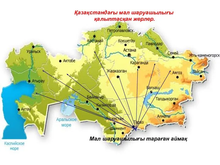 Қазақстандағы мал шаруашылығы қалыптасқан жерлер. Мал шаруашылығы тараған аймақ