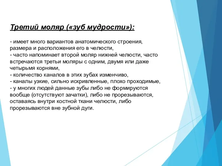 Третий моляр («зуб мудрости»): - имеет много вариантов анатомического строения, размера и