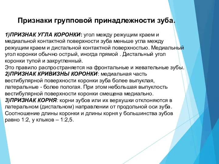 Признаки групповой принадлежности зуба. 1)ПРИЗНАК УГЛА КОРОНКИ: угол между режущим краем и