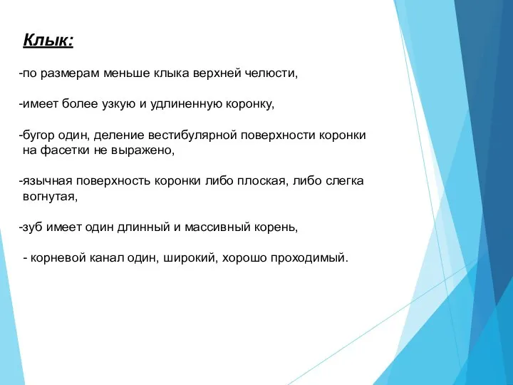 Клык: по размерам меньше клыка верхней челюсти, имеет более узкую и удлиненную