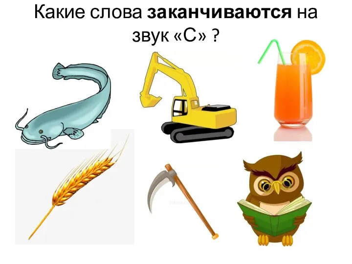 Какие слова заканчиваются на звук «С» ?