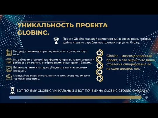 УНИКАЛЬНОСТЬ ПРОЕКТА GLOBINC. 26 . Проект Globinc пожалуй единственный в своем роде,