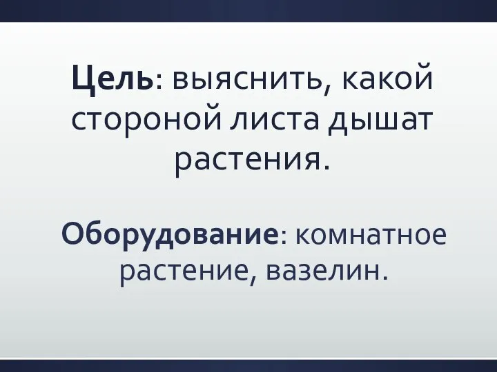 Цель: выяснить, какой стороной листа дышат растения. Оборудование: комнатное растение, вазелин.