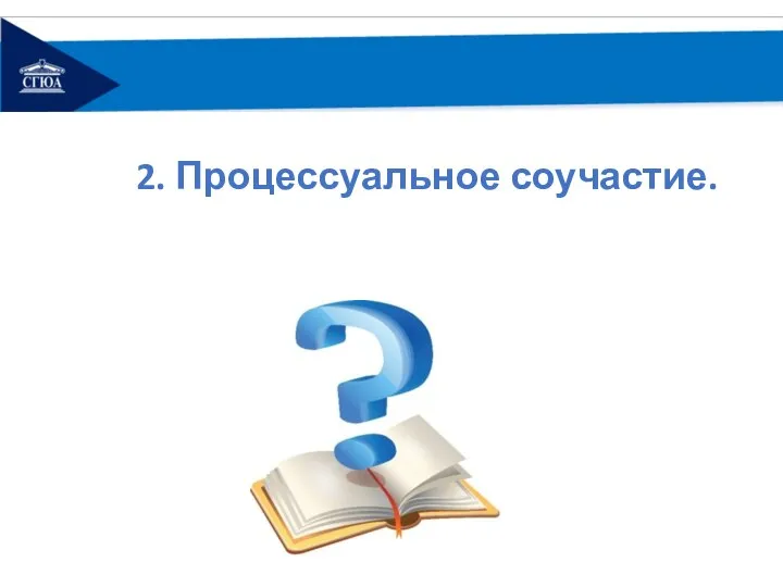 2. Процессуальное соучастие.