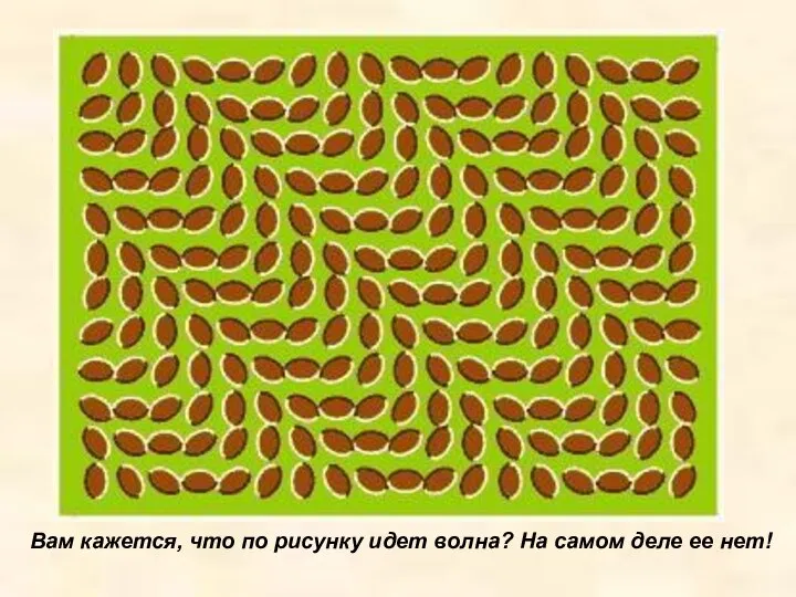 Вам кажется, что по рисунку идет волна? На самом деле ее нет!