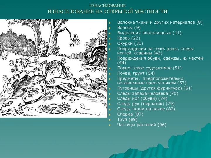 ИЗНАСИЛОВАНИЕ ИЗНАСИЛОВАНИЕ НА ОТКРЫТОЙ МЕСТНОСТИ Волокна ткани и других материалов (8) Волосы