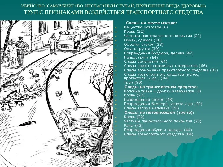 УБИЙСТВО (САМОУБИЙСТВО, НЕСЧАСТНЫЙ СЛУЧАЙ, ПРИЧЕНЕНИЕ ВРЕДА ЗДОРОВЬЮ) ТРУП С ПРИЗНАКАМИ ВОЗДЕЙСТВИЯ ТРАНСПОРТНОГО