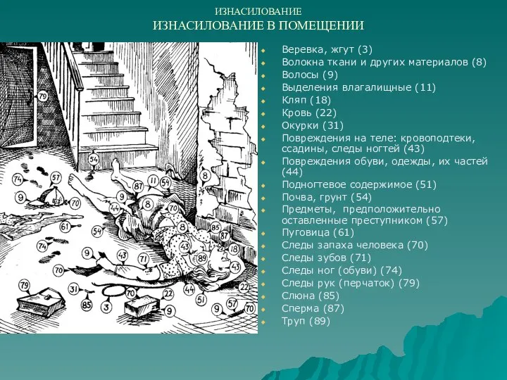 ИЗНАСИЛОВАНИЕ ИЗНАСИЛОВАНИЕ В ПОМЕЩЕНИИ Веревка, жгут (3) Волокна ткани и других материалов