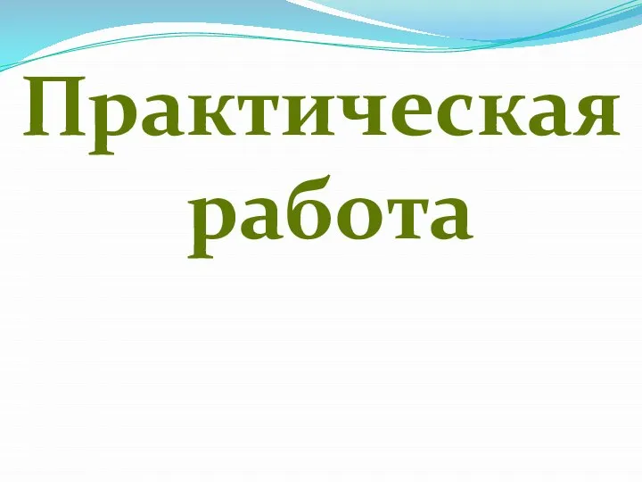 Практическая работа