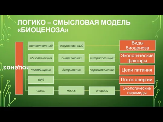 ЛОГИКО – СМЫСЛОВАЯ МОДЕЛЬ «БИОЦЕНОЗА»