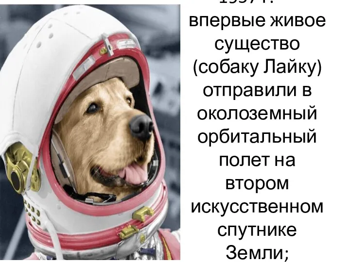1957 г. — впервые живое существо (собаку Лайку) отправили в околоземный орбитальный