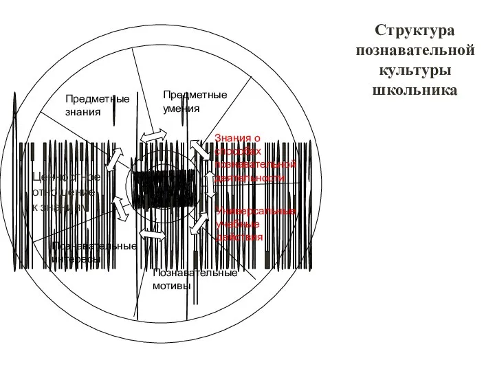 Структура познавательной культуры школьника Предметные умения Ценностное отношение к знаниям