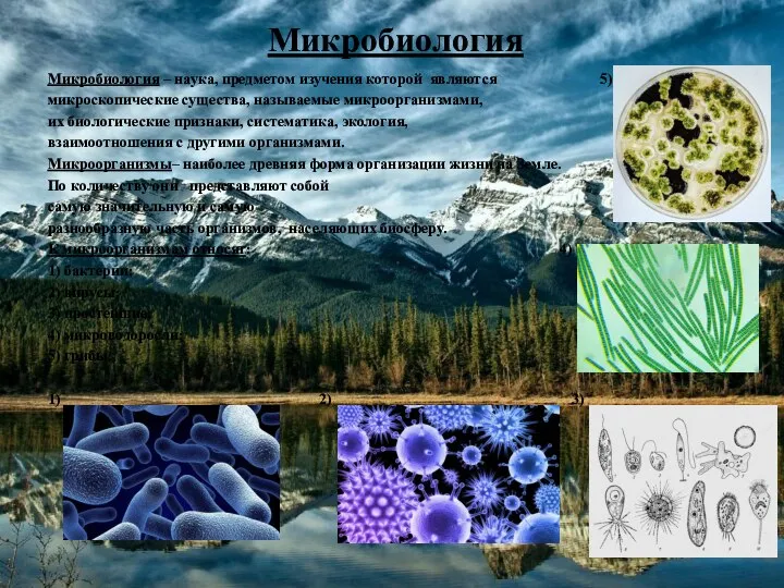 Микробиология Микробиология – наука, предметом изучения которой являются 5) микроскопические существа, называемые