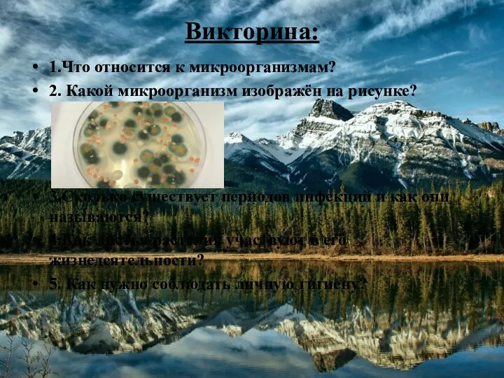 Викторина: 1.Что относится к микроорганизмам? 2. Какой микроорганизм изображён на рисунке? 3.Сколько