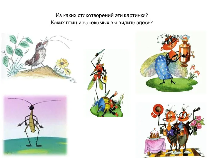 Из каких стихотворений эти картинки? Каких птиц и насекомых вы видите здесь?