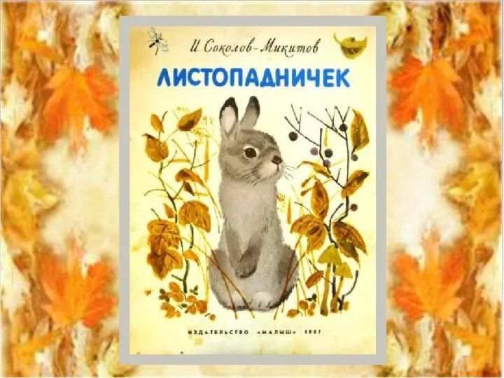 Рефлексия