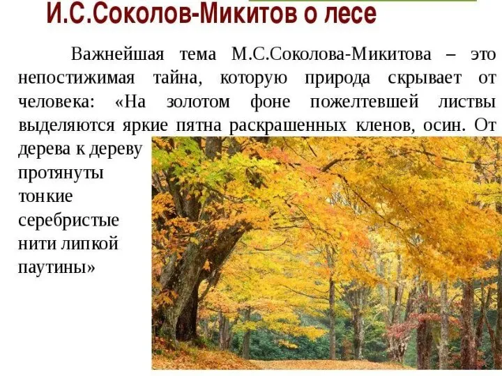 Рефлексия