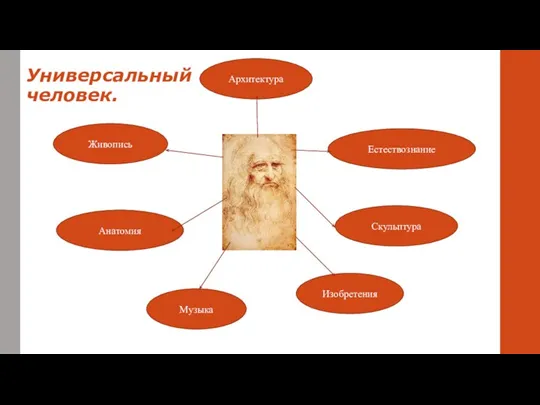 Универсальный человек. Скульптура Архитектура Музыка Естествознание Изобретения Анатомия Живопись