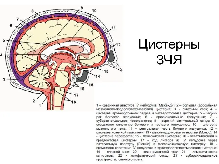 Цистерны ЗЧЯ