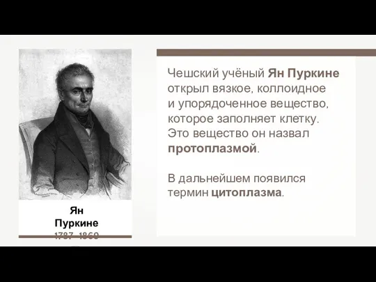 Ян Пуркине 1787–1869 гг. Чешский учёный Ян Пуркине открыл вязкое, коллоидное и