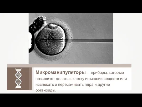 Микроманипуляторы — приборы, которые позволяют делать в клетку инъекции веществ или извлекать