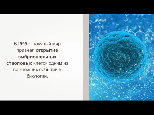 В 1999 г. научный мир признал открытие эмбриональных стволовых клеток одним из важнейших событий в биологии.