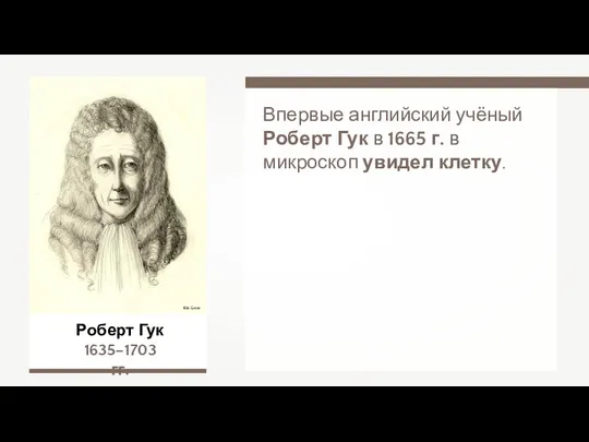Роберт Гук 1635–1703 гг. Впервые английский учёный Роберт Гук в 1665 г.