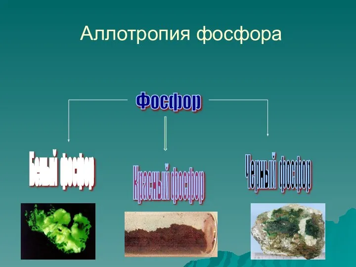 Аллотропия фосфора Фосфор Белый фосфор Красный фосфор Черный фосфор