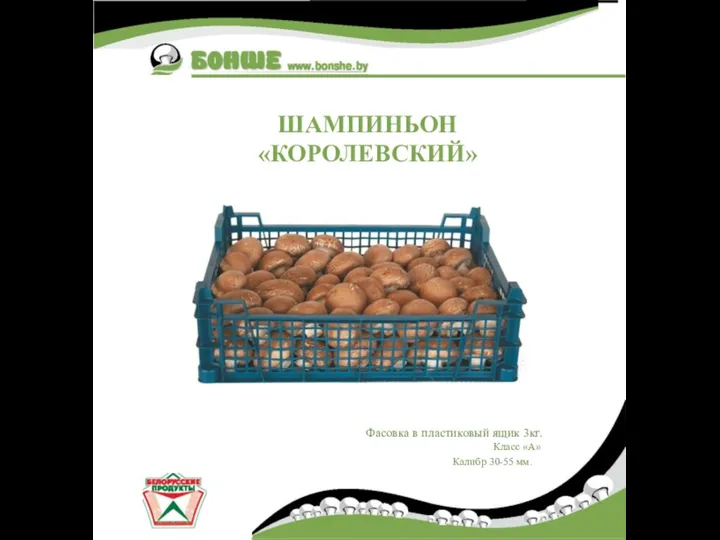 Класс «А» Калибр 30-55 мм. ШАМПИНЬОН «КОРОЛЕВСКИЙ» Фасовка в пластиковый ящик 3кг.