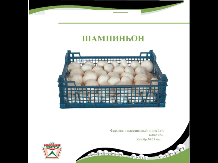 Фасовка в пластиковый ящик 3кг. Класс «А» Калибр 30-55 мм. ШАМПИНЬОН