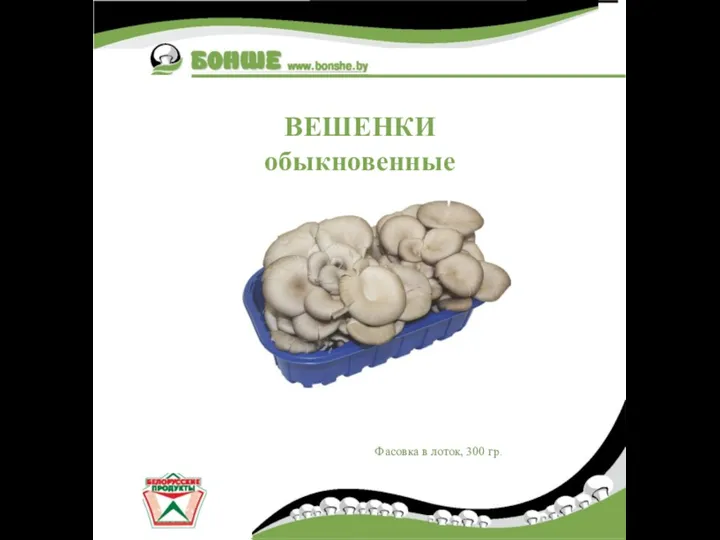 ВЕШЕНКИ обыкновенные Фасовка в лоток, 300 гр.