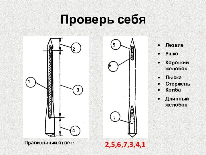 Проверь себя 1 2 3 4 7 6 5 Лезвие Ушко Короткий