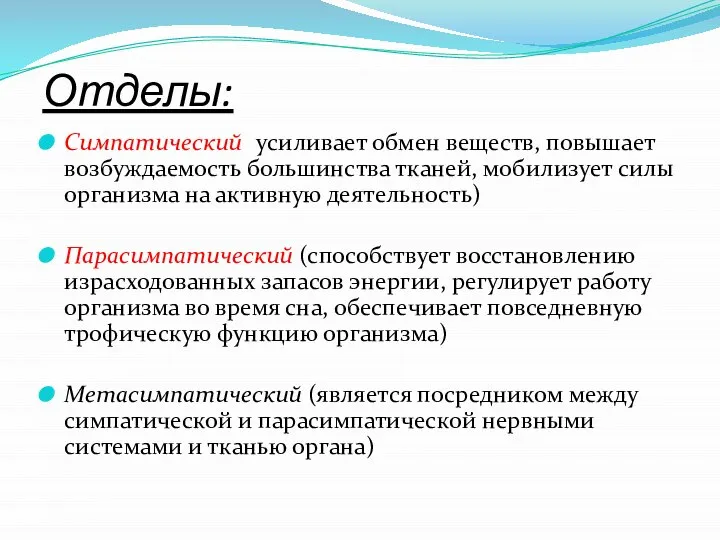 Отделы: Симпатический (усиливает обмен веществ, повышает возбуждаемость большинства тканей, мобилизует силы организма