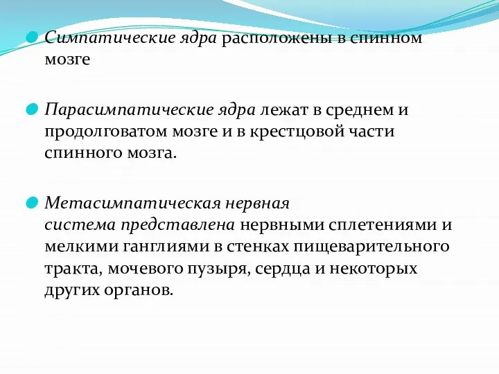 Симпатические ядра расположены в спинном мозге Парасимпатические ядра лежат в среднем и