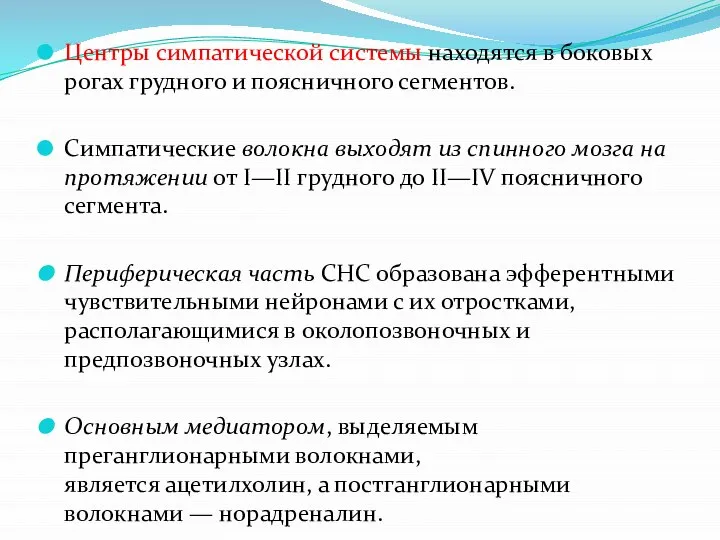 Центры симпатической системы находятся в боковых рогах грудного и поясничного сегментов. Симпатические