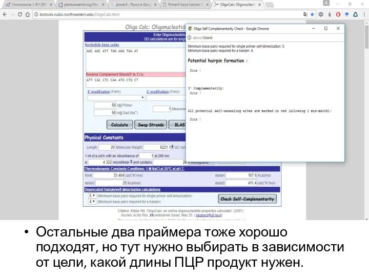 Остальные два праймера тоже хорошо подходят, но тут нужно выбирать в зависимости