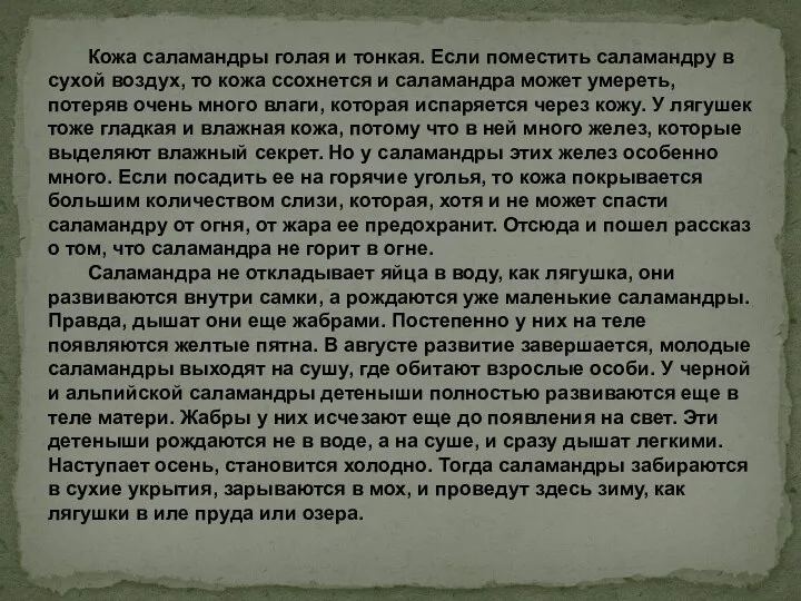 Кожа саламандры голая и тонкая. Если поместить саламандру в сухой воздух, то