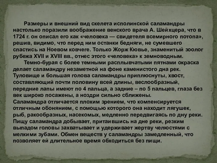 Размеры и внешний вид скелета исполинской саламандры настолько поразили воображение венского врача