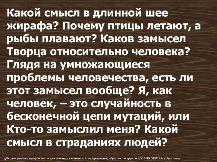 Какой смысл в длинной шее жирафа? Почему птицы летают, а рыбы плавают?