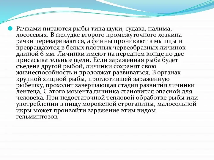 Рачками питаются рыбы типа щуки, судака, налима, лососевых. В желудке второго промежуточного